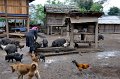 41 - Akha tribe